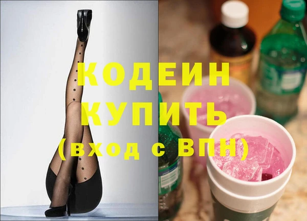 хмурый Инта