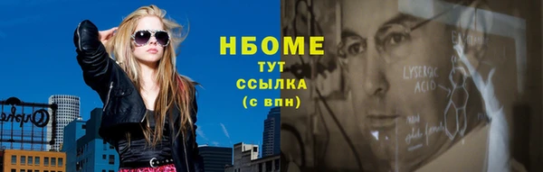 хмурый Инта
