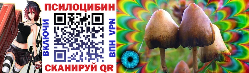 Купить закладки  Пикалёво  Галлюциногенные грибы Psilocybine cubensis 