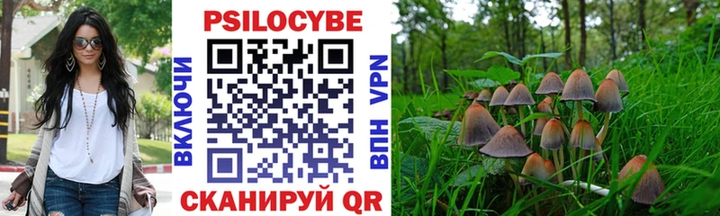 Галлюциногенные грибы Psilocybe Пикалёво
